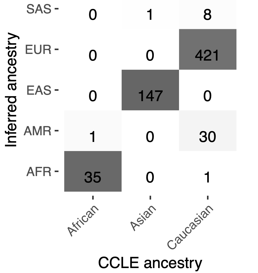 Bayesian inference pipeline to infer ancestry for cancer cell lines leveraging observed genotypes thumbnail