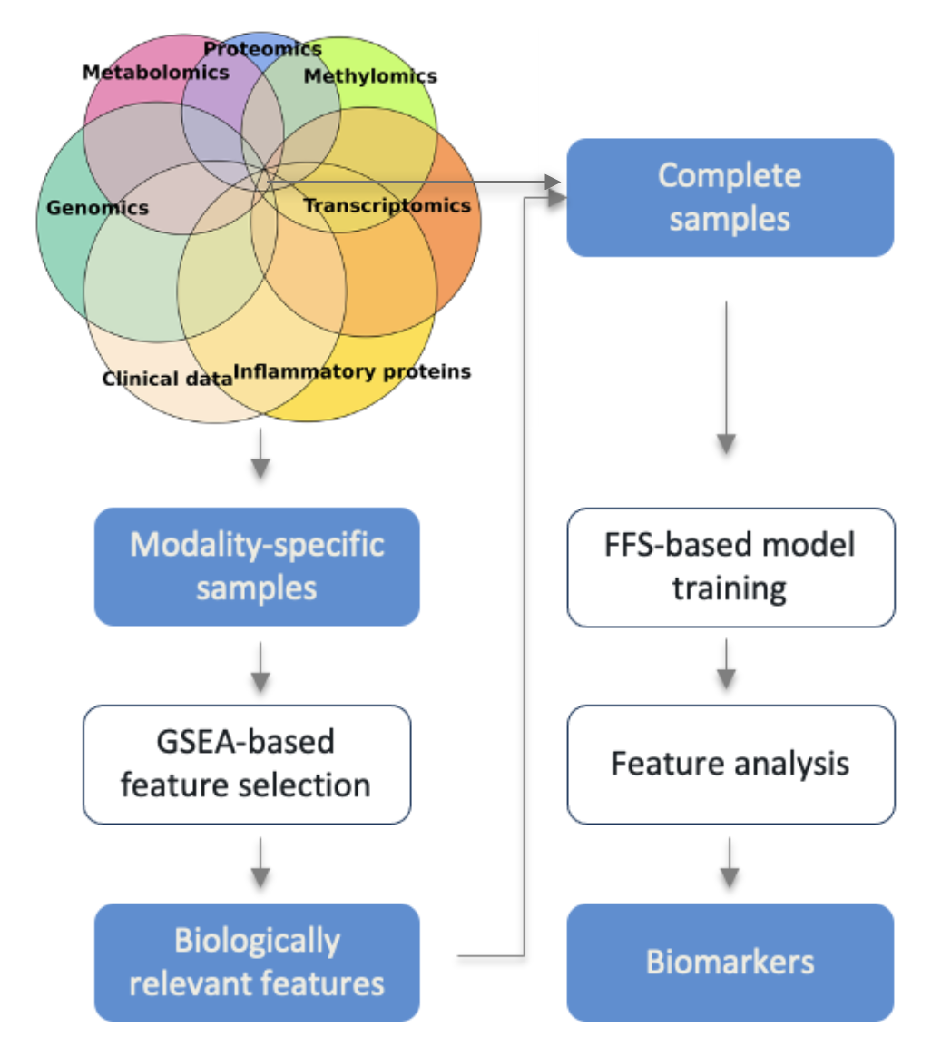 The Interpretable Multimodal Machine Learning (IMML) framework thumbnail